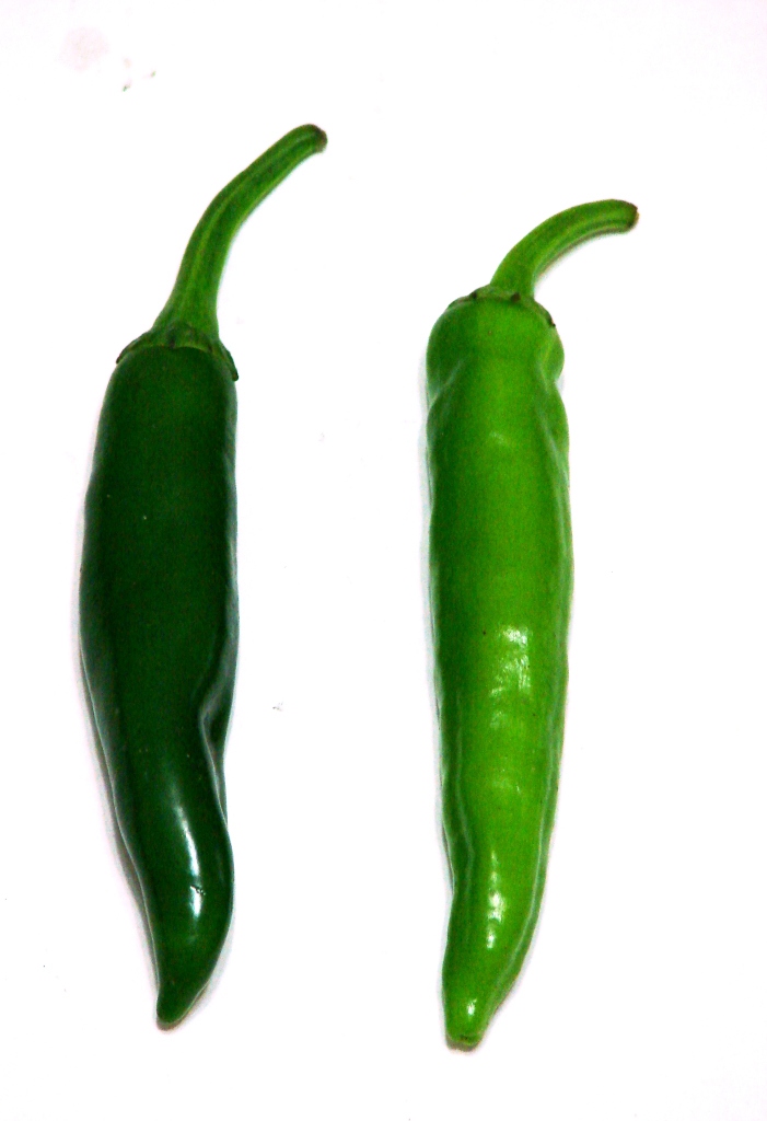 green chili clipart - photo #16