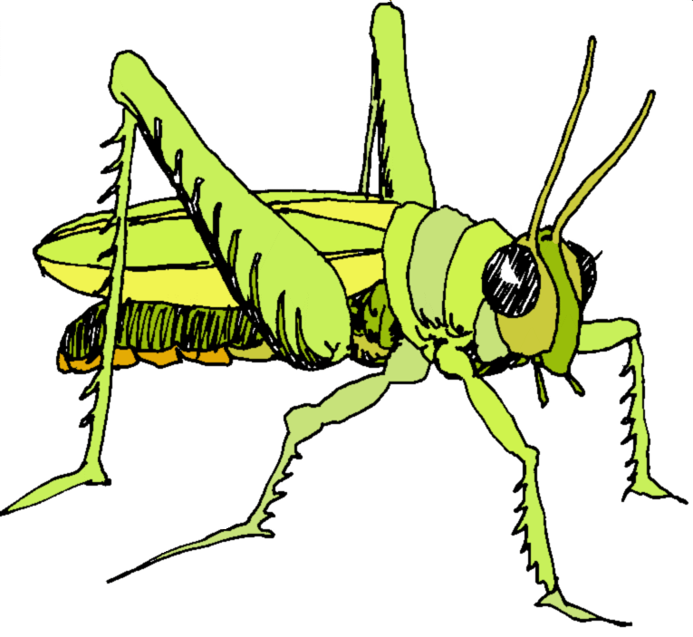 Insects Clip Art - Clip Art Gallery