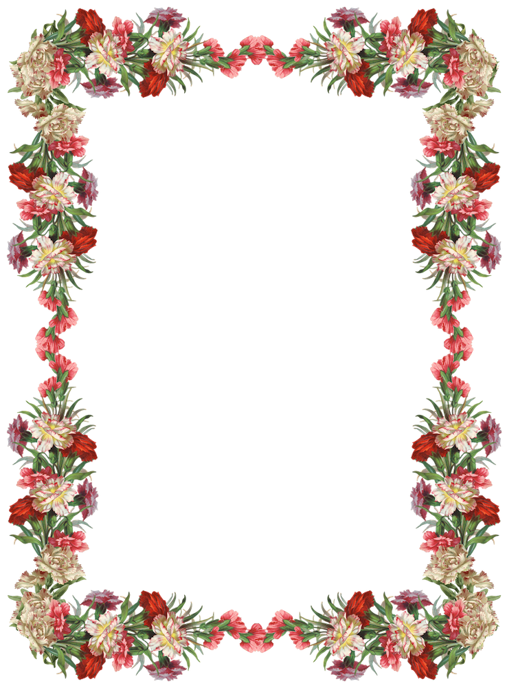 Free Transparent Floral Frame, Download Free Transparent Floral Frame