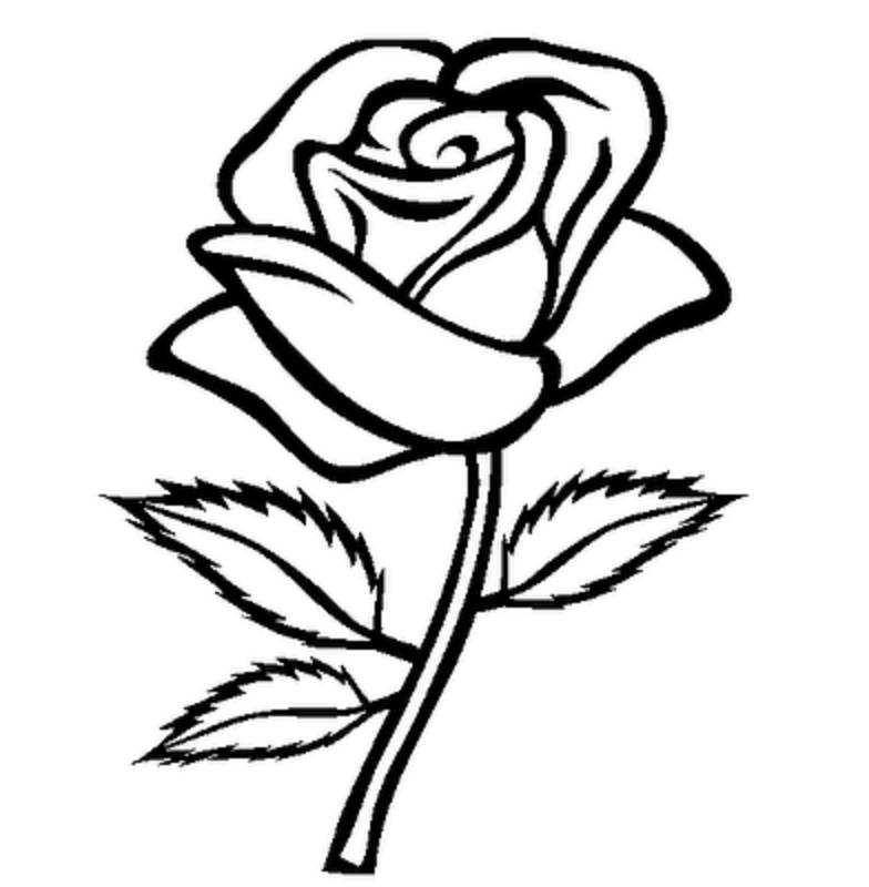 Free Rose Outline, Download Free Rose Outline png images, Free ClipArts