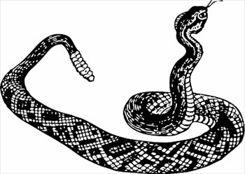 Free Snakes Clipart - Free Clipart Graphics, Images and Photos 