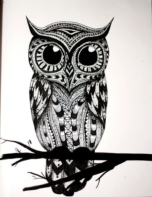Cool Owl Drawings - Gallery