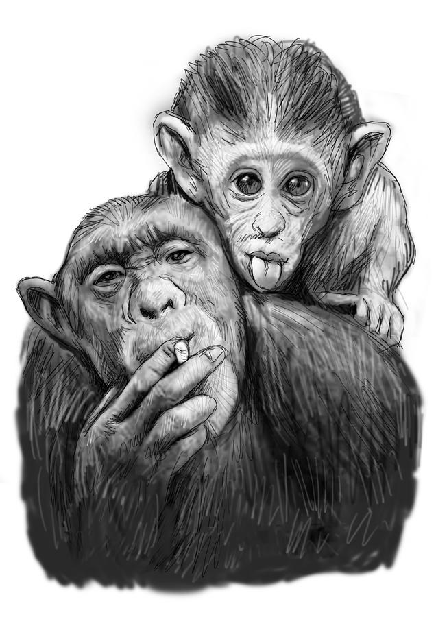 Creative Monkey Sketch Drawing for Beginner