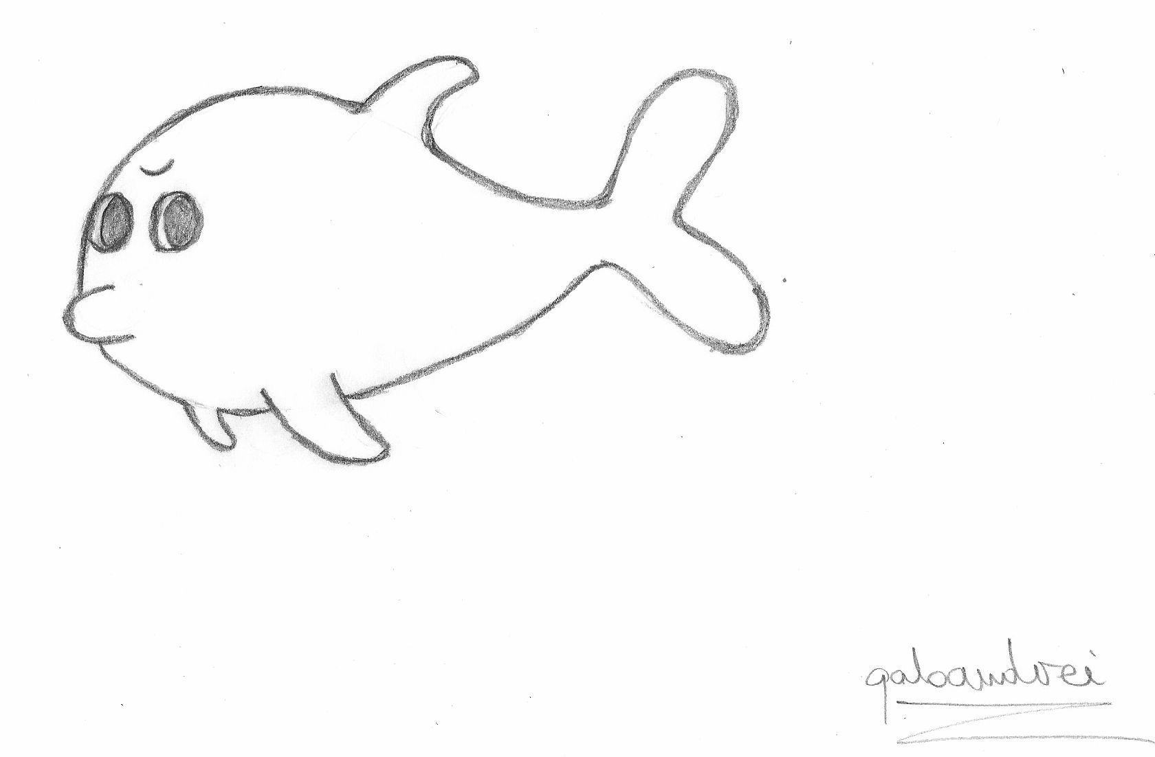 Baby Dolphin (Drawing) - Dolphinspedia