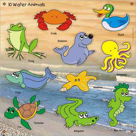 aquatic animals live in water - Clip Art Library