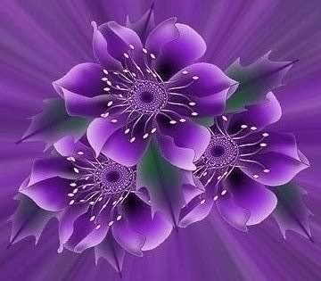 Beautiful Purple Flower On Black Computer Generated Stock Illustration  Illustration Of Magical, Nature: 48738147