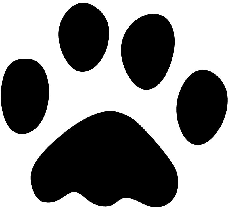 Paw Prints Jungle Animals Wall Stickers Wall Art Decal Transfers 