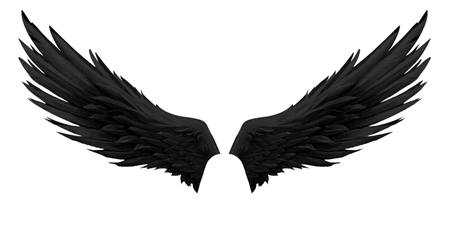Angel Wings Black And White Image Icon - Free Icons