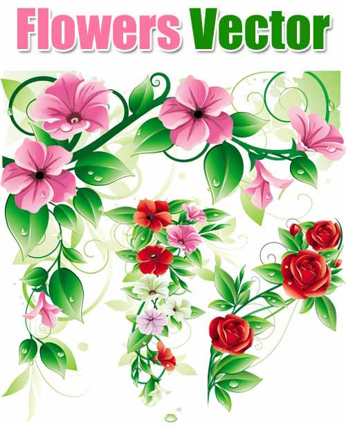 Flower patterns vector 2 | Free Vector Graphics  Art Design Blog