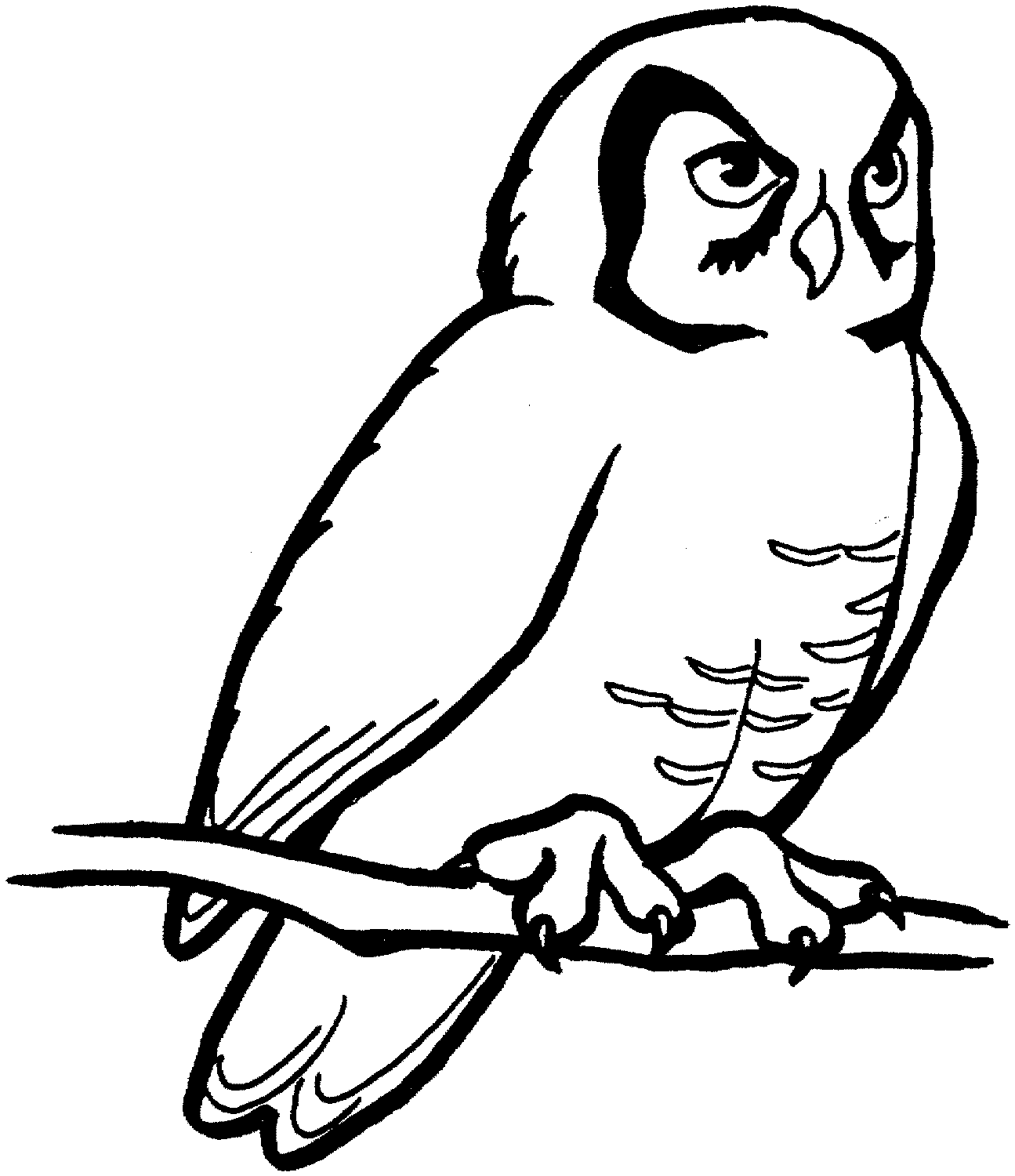 perched barn owl coloring id 94193 : Uncategorized - yoand.