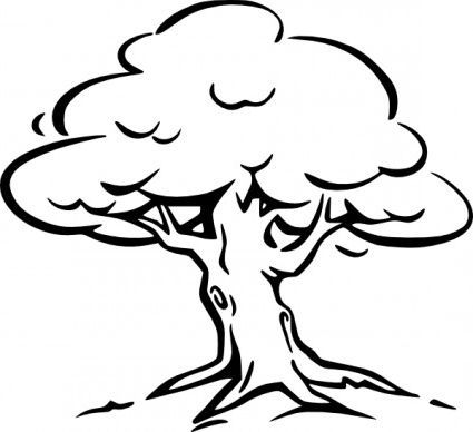 Related Pictures Black And White Oak Tree Clip Art Free Vector For 
