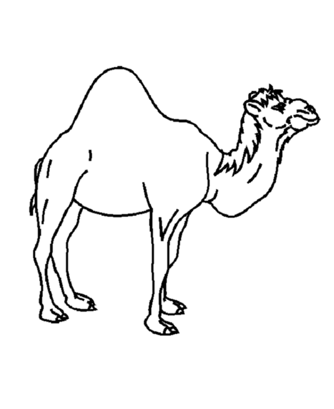 Camel-coloring-15 | Free Coloring Page Site