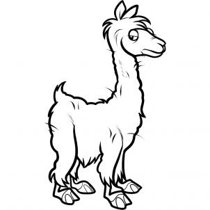 How to Draw an Alpaca, Alpaca, Step by Step, Pets, Animals, FREE 