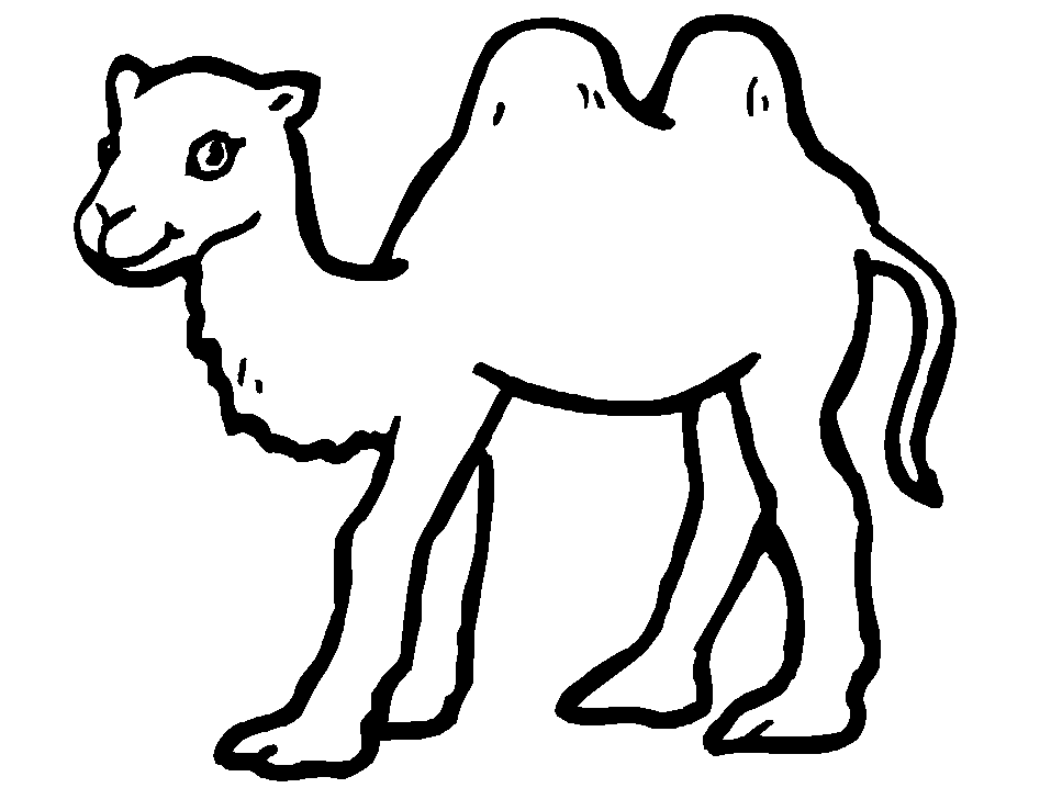 Free Printable Camel Coloring Pages For Kids