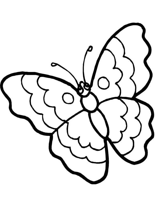 Cartoon Butterfly in Sad Eyes Coloring Page: Cartoon Butterfly in 
