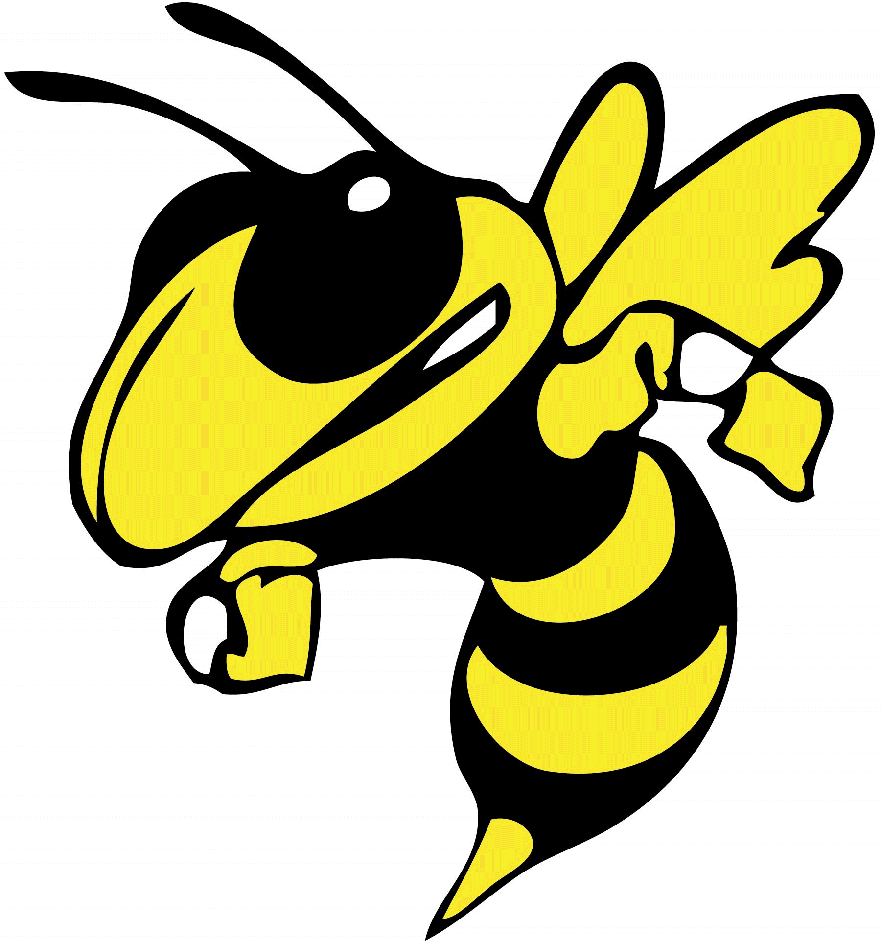 Images For  Hornet Cartoon Mascot