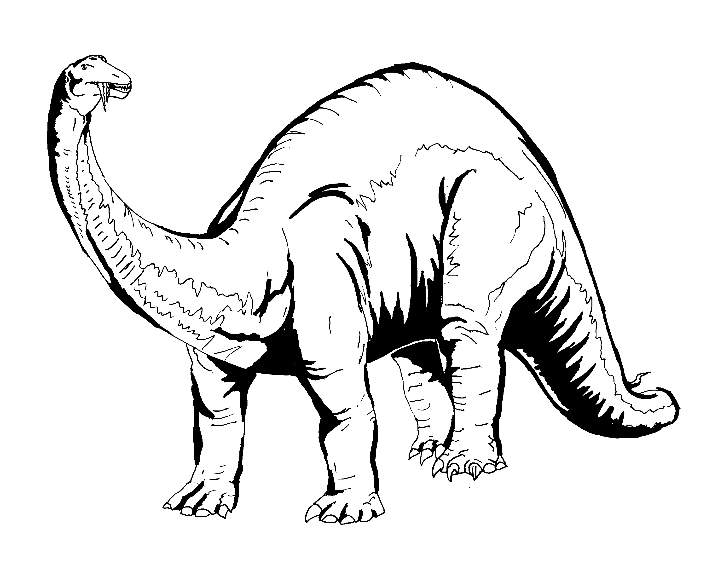 Dinosaur Outline - Clipart library