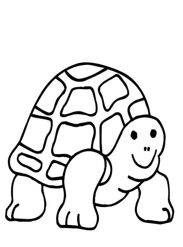Turtles-coloring-pictures-3 | Free Coloring Page Site