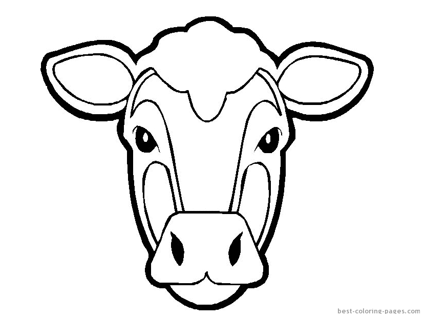 Cows coloring pages | Best Coloring Pages - Free coloring pages to 