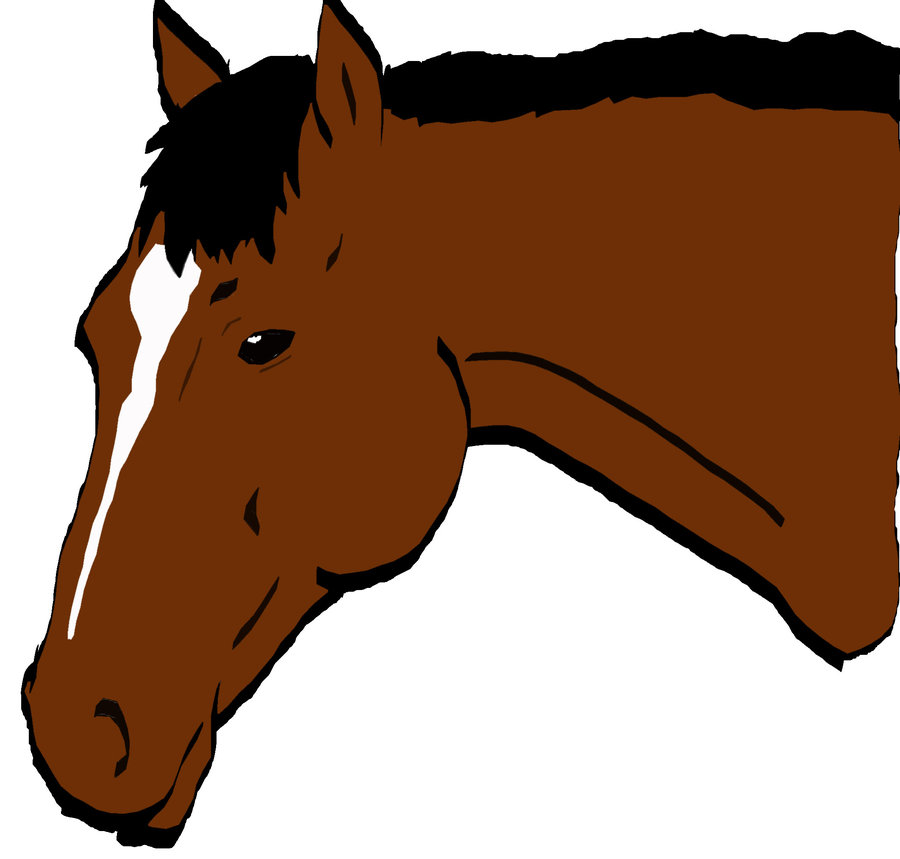 Free Horse Head Cartoon, Download Free Horse Head Cartoon png images