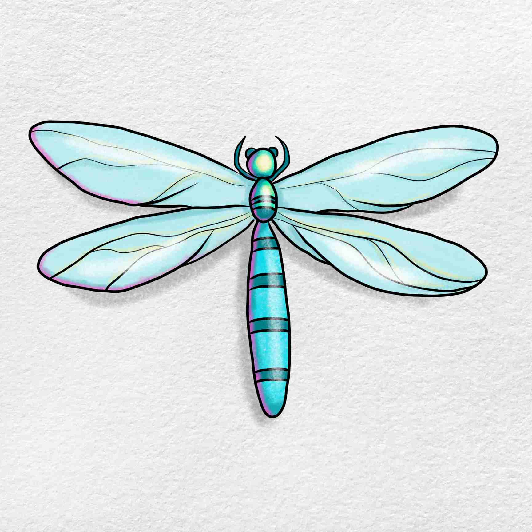 Free Drawing Pictures For Dragon Flys, Download Free Drawing Pictures