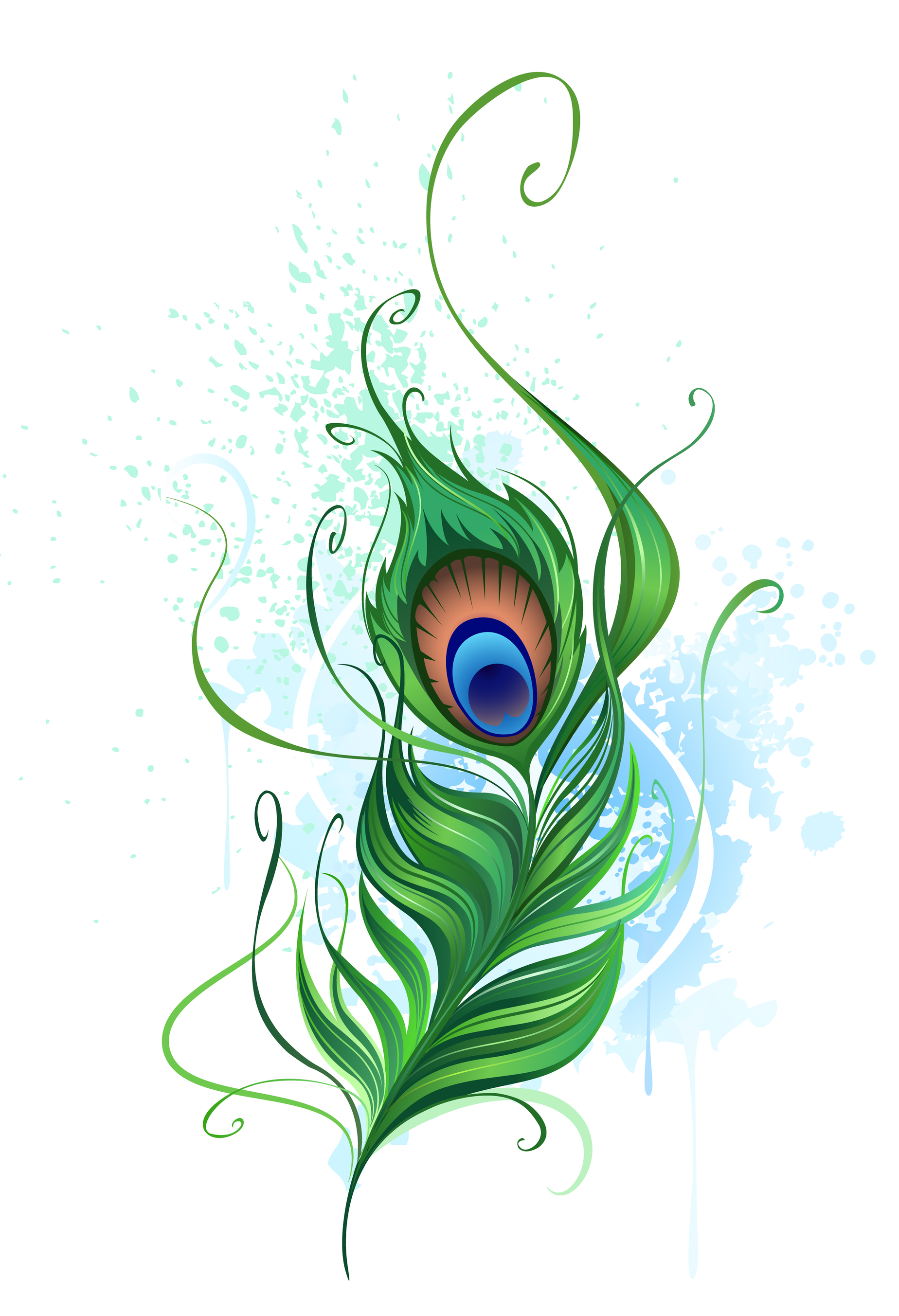 Peacock Feather | Clipart library - Free Clipart Images