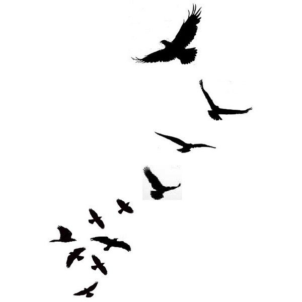 Tattoo on Clipart library | Bird Silhouette, Swallows and Bird Tattoos