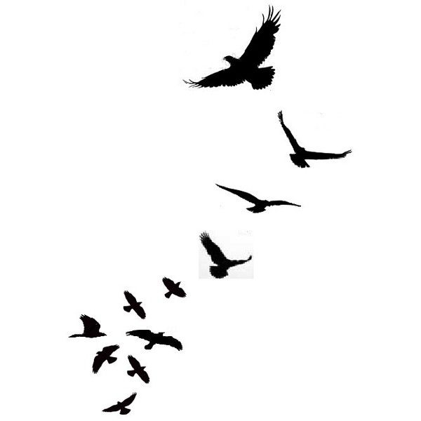 black bird flying silhouette