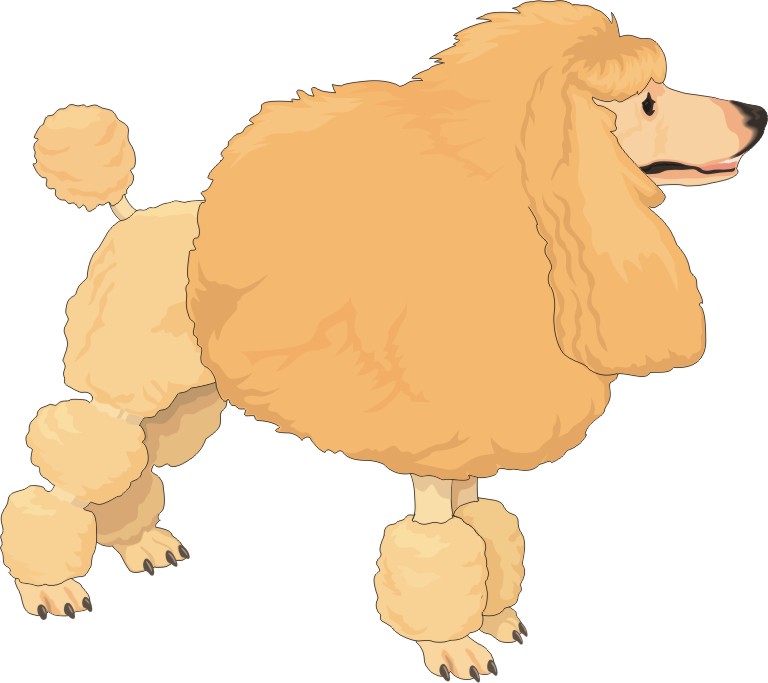 Free Poodle Cartoon, Download Free Poodle Cartoon png images, Free