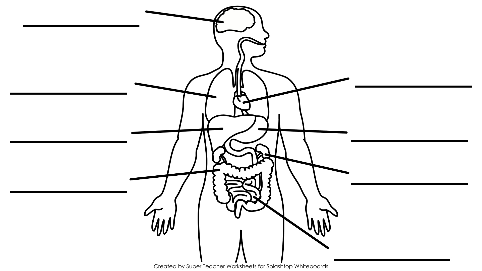 Free Printable Blank Brain, Download Free Printable Blank Brain png