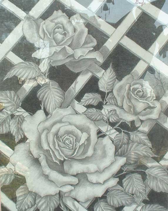 black and white pencil drawings of flowers