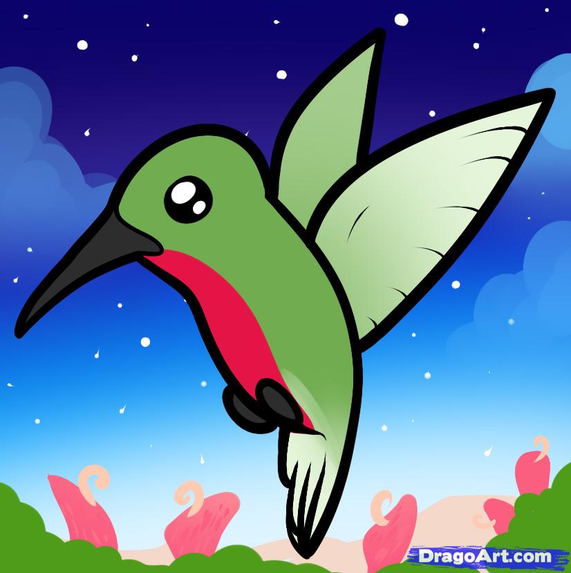 Free Hummingbird Cartoon, Download Free Hummingbird Cartoon png images