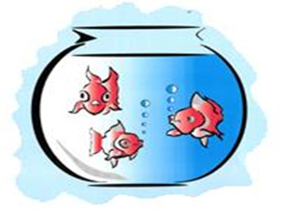 fish-bowl-coloring-page-printable-coloring-home