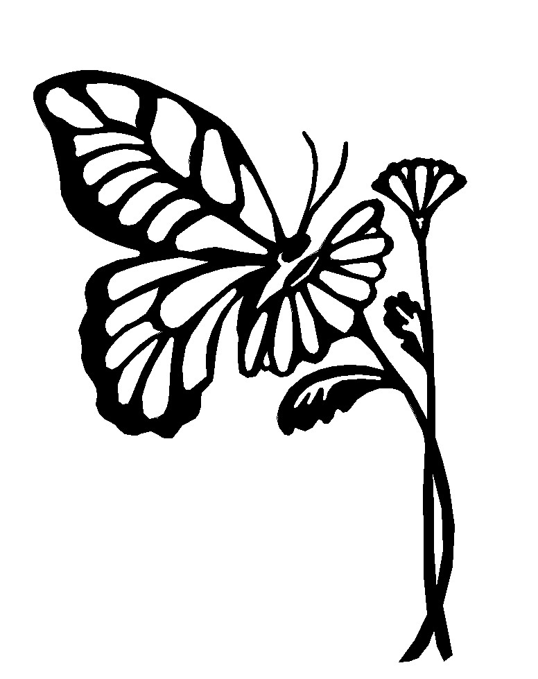 Butterfly Outlines - AZ Coloring Pages