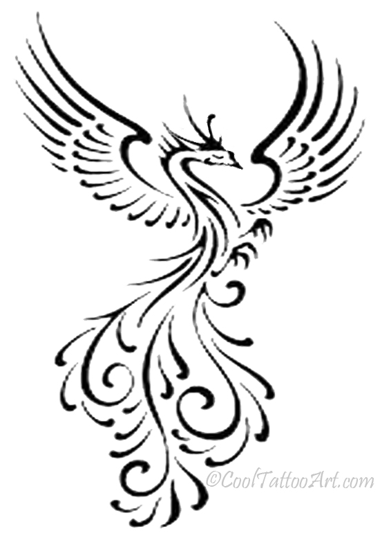 free black and white peacock clipart - photo #24