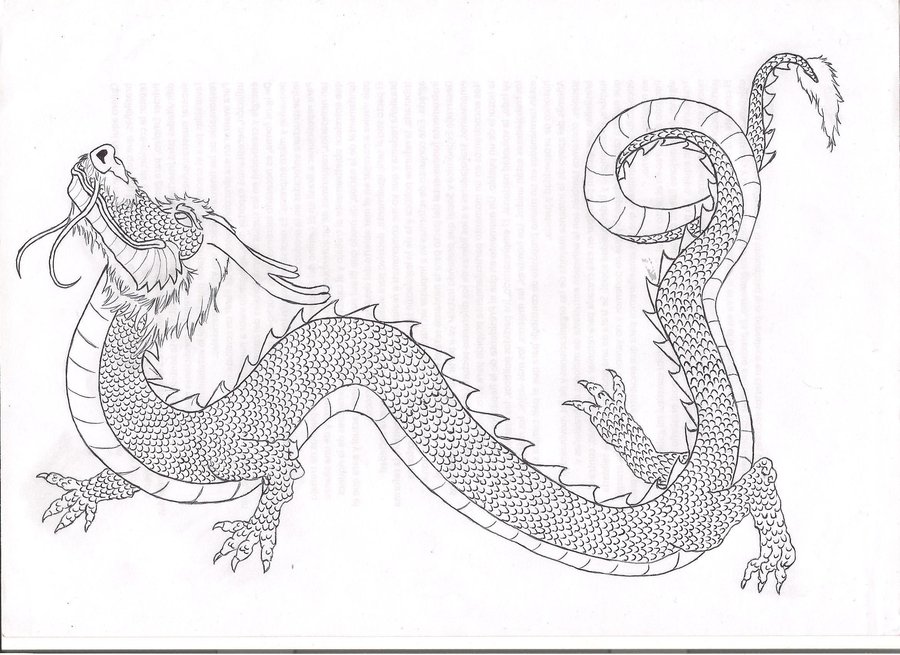 chinese dragon drawing in pencil