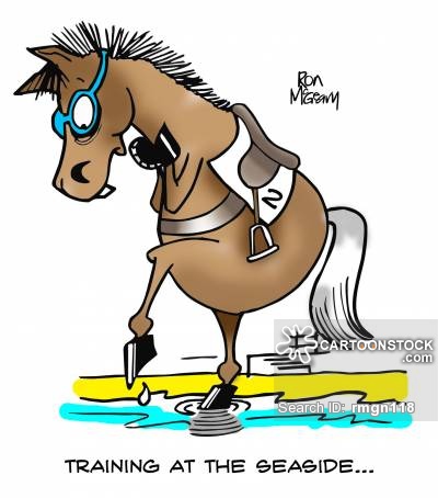 Featured image of post Funny Horse Cartoons Horse humor and funny pictures of horses