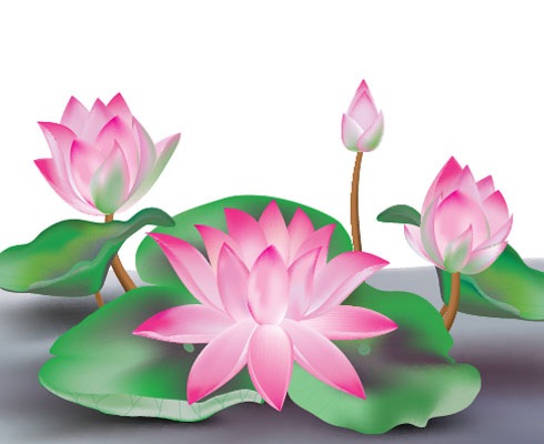 lotus blossom lotus cartoon - Clip Art Library