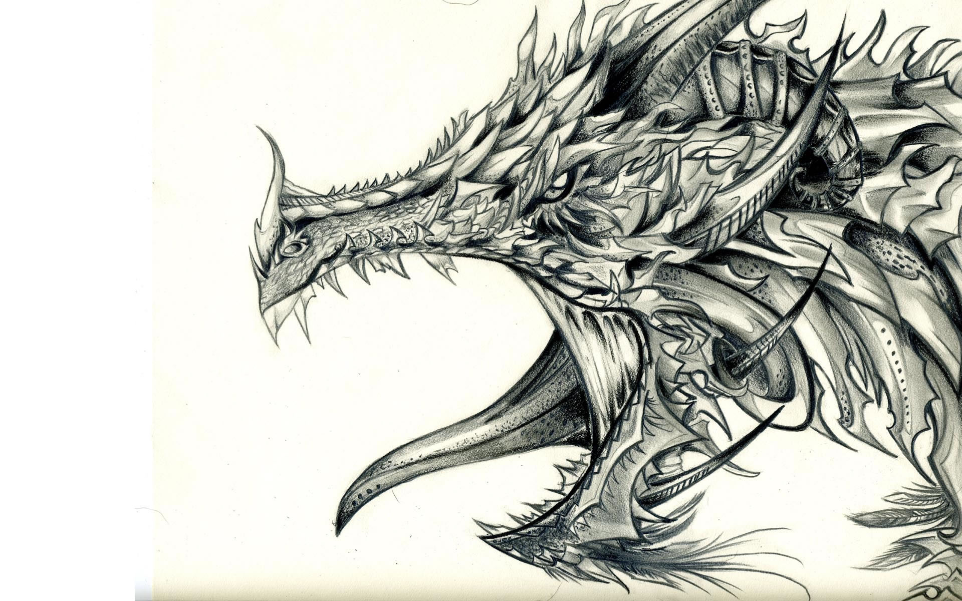 Free Dragon Drawings, Download Free Dragon Drawings png images, Free