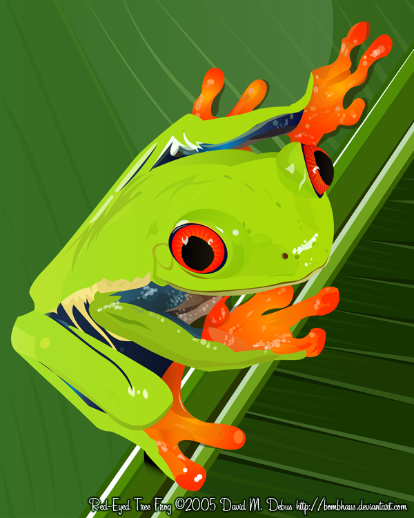 cartoon red eyed tree frog - Clip Art Library