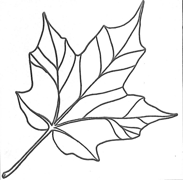 757 kids page maple leaf