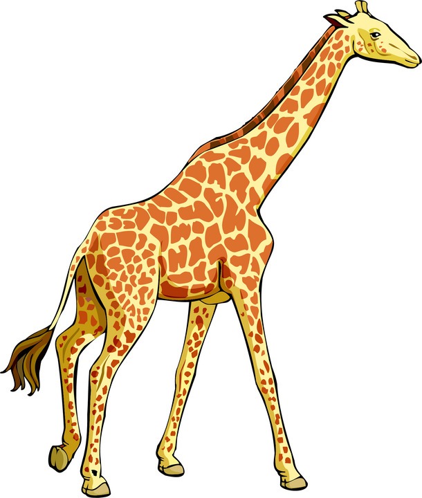Giraffe Clip Art Free | Clipart library - Free Clipart Images