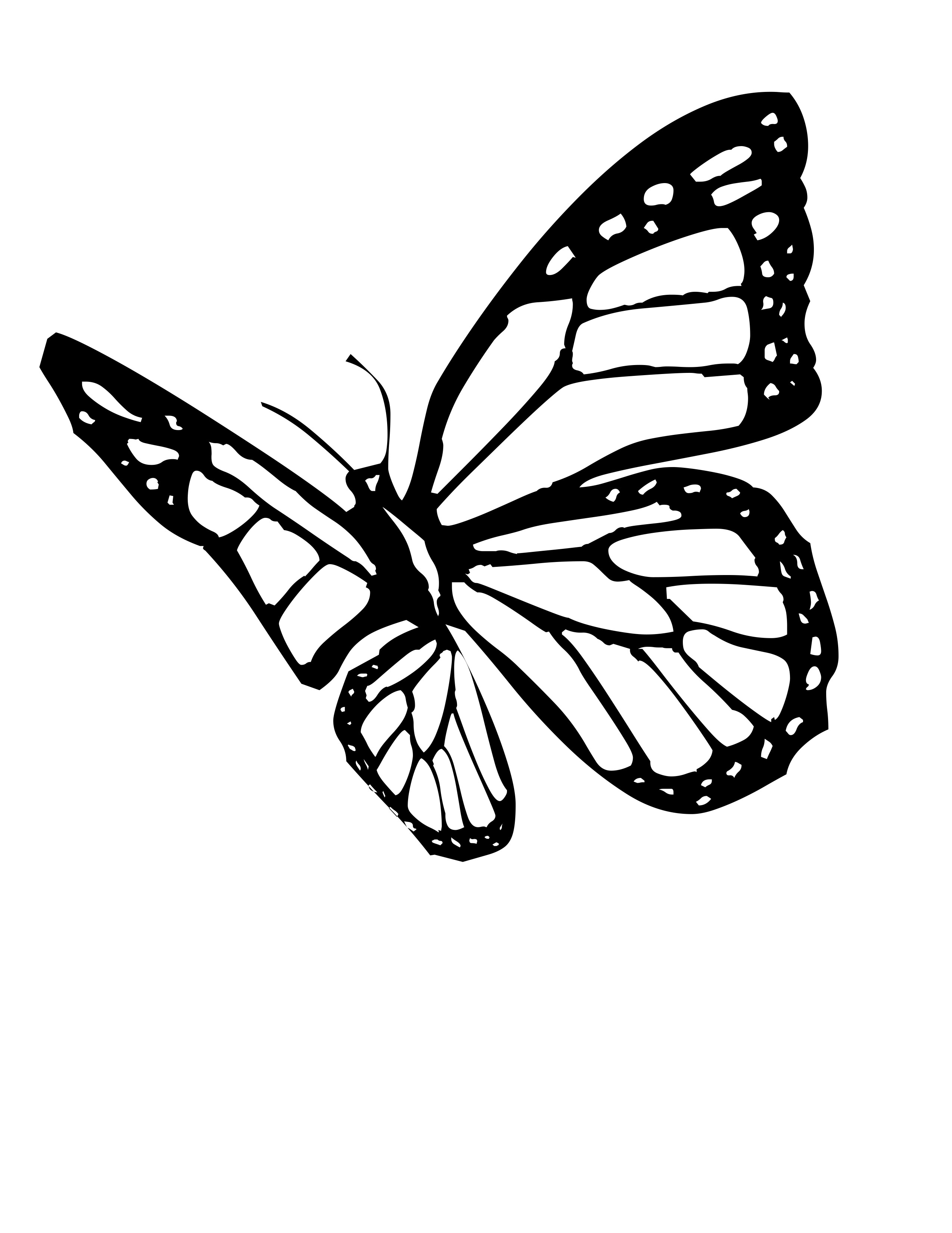 flying butterfly drawings for kids