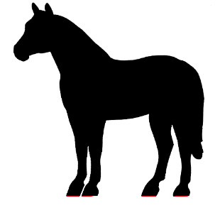 Rising Star Steel Ponies - Steel Horse Silhouettes  Colorbook 
