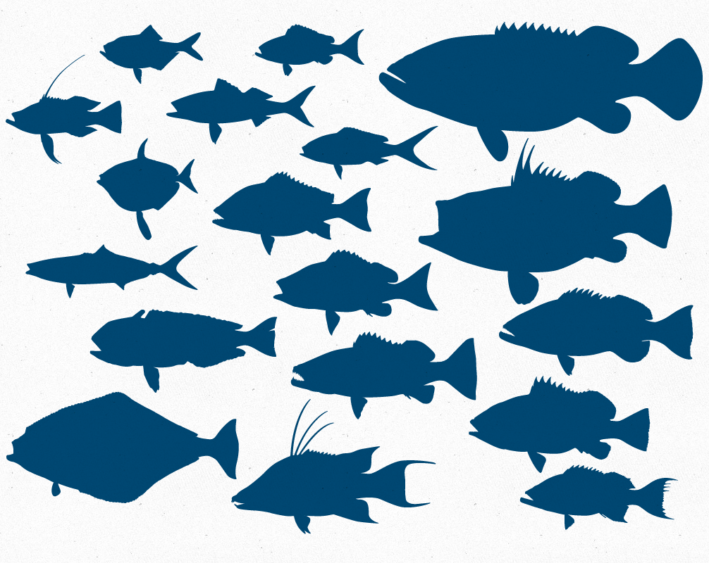 Fish Vector - Clipart library