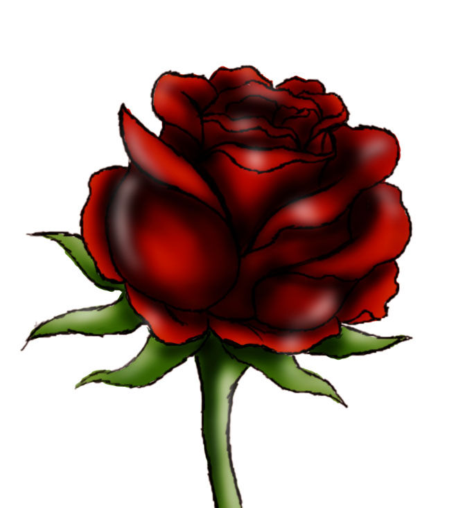 How to draw a red rose