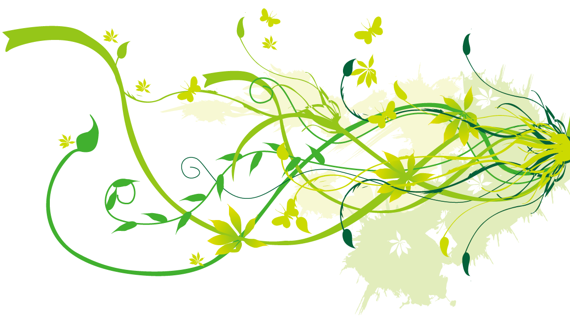 Vector Flower Png