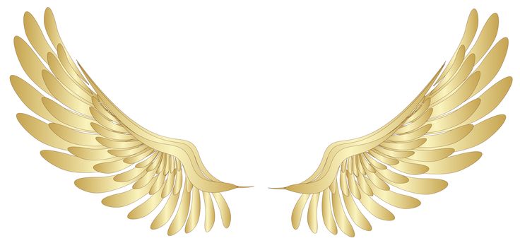 Golden Wings ????? PNG ?????? ??????? | Angels | Clipart library