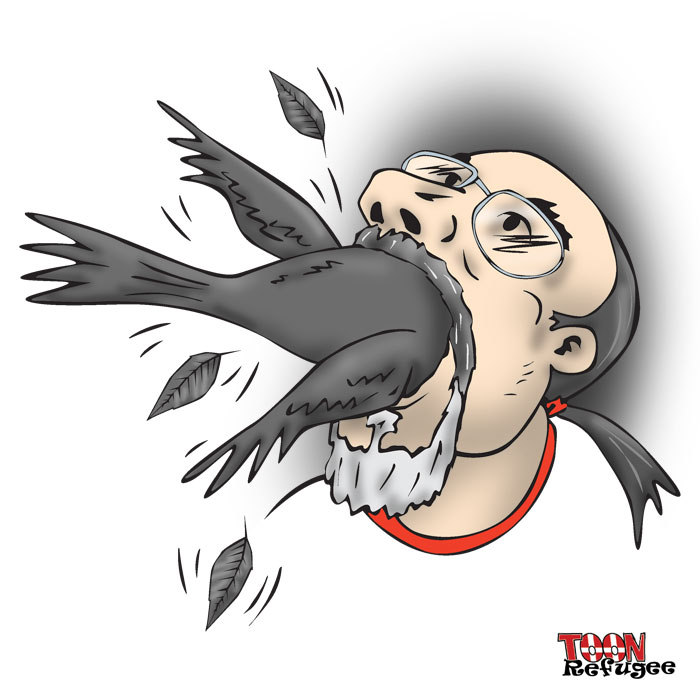Cardinal Fan Eats Crow � TOONrefugee: Cartoon Blog