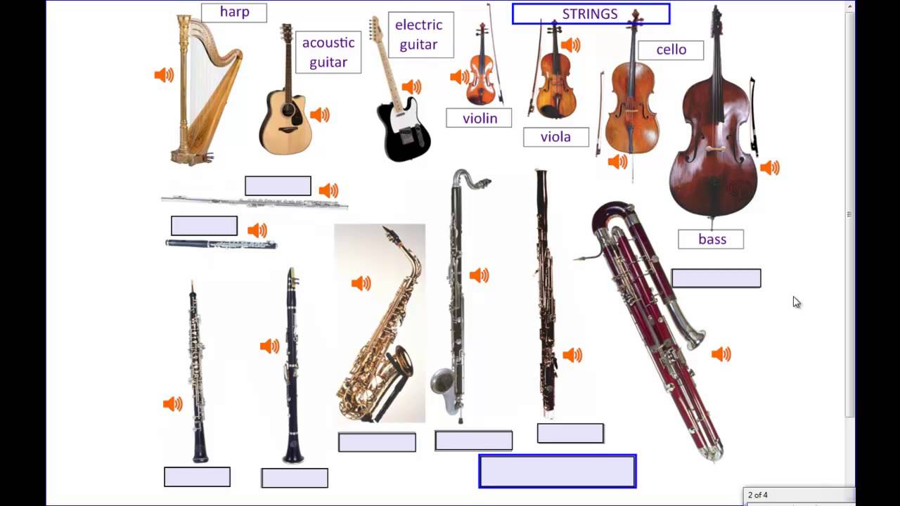 name the orchestral instruments quiz